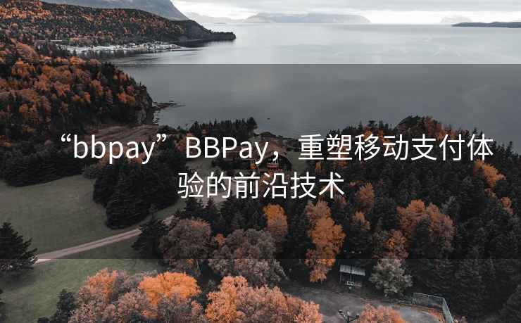 “bbpay”BBPay，重塑移動(dòng)支付體驗(yàn)的前沿技術(shù)