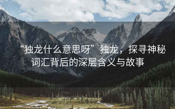 “獨龍什么意思呀”獨龍，探尋神秘詞匯背后的深層含義與故事