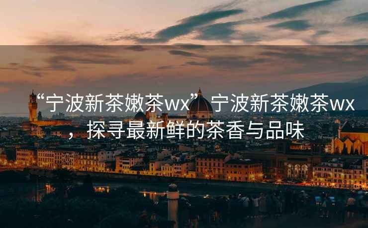 “寧波新茶嫩茶wx”寧波新茶嫩茶wx，探尋最新鮮的茶香與品味
