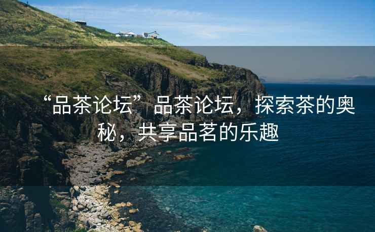 “品茶論壇”品茶論壇，探索茶的奧秘，共享品茗的樂趣