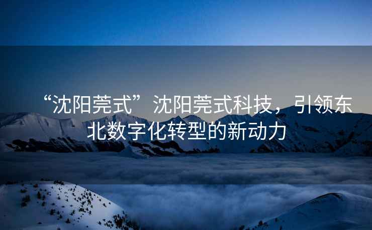 “沈陽莞式”沈陽莞式科技，引領(lǐng)東北數(shù)字化轉(zhuǎn)型的新動(dòng)力