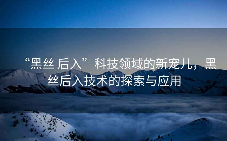 “黑絲 后入”科技領(lǐng)域的新寵兒，黑絲后入技術(shù)的探索與應(yīng)用