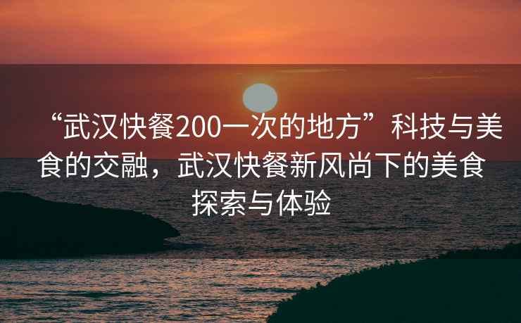 “武漢快餐200一次的地方”科技與美食的交融，武漢快餐新風(fēng)尚下的美食探索與體驗(yàn)