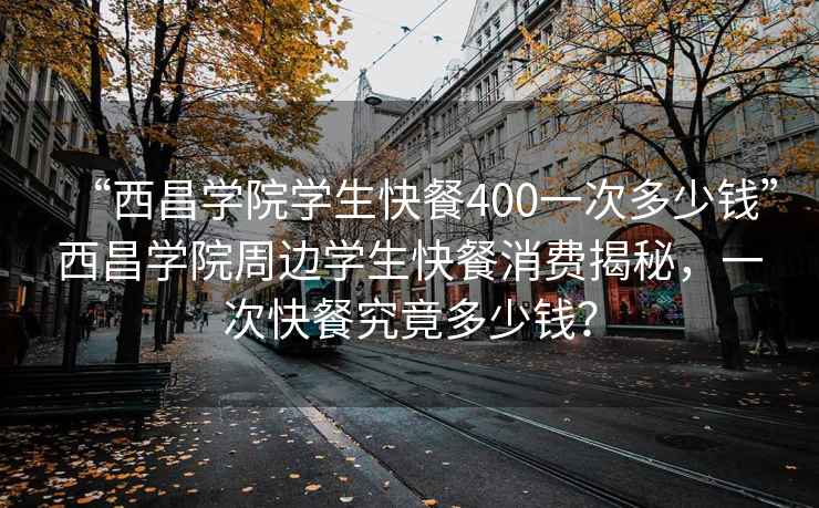 “西昌學(xué)院學(xué)生快餐400一次多少錢(qián)”西昌學(xué)院周邊學(xué)生快餐消費(fèi)揭秘，一次快餐究竟多少錢(qián)？