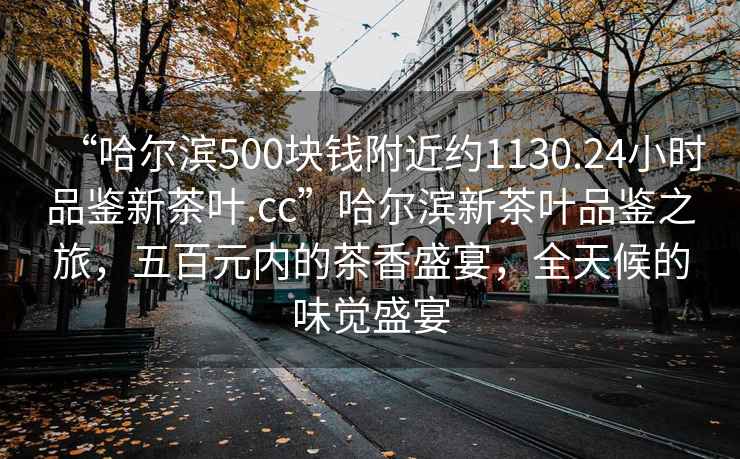 “哈爾濱500塊錢附近約1130.24小時(shí)品鑒新茶葉.cc”哈爾濱新茶葉品鑒之旅，五百元內(nèi)的茶香盛宴，全天候的味覺盛宴