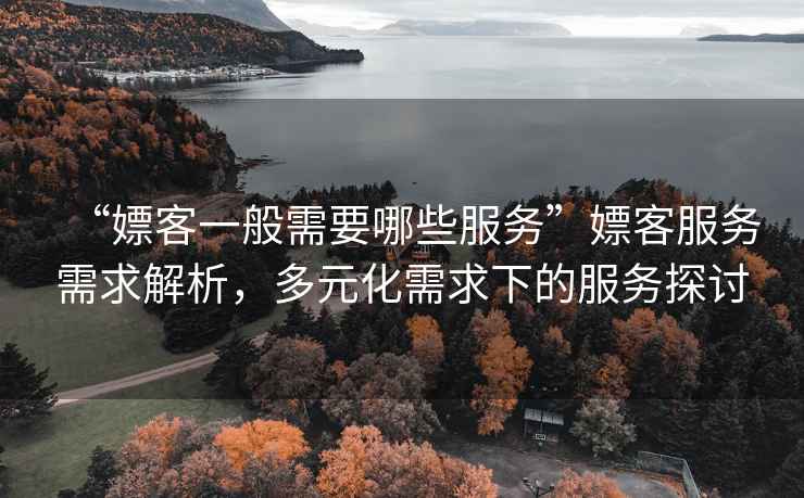“嫖客一般需要哪些服務(wù)”嫖客服務(wù)需求解析，多元化需求下的服務(wù)探討
