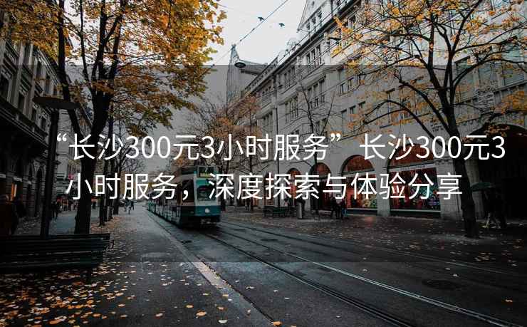 “長沙300元3小時服務”長沙300元3小時服務，深度探索與體驗分享