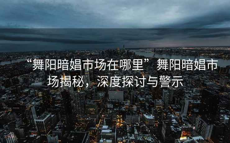 “舞陽暗娼市場在哪里”舞陽暗娼市場揭秘，深度探討與警示