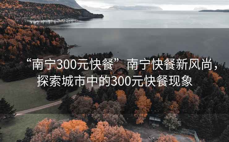 “南寧300元快餐”南寧快餐新風尚，探索城市中的300元快餐現(xiàn)象