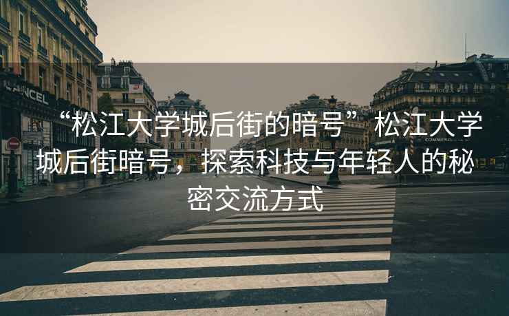 “松江大學(xué)城后街的暗號(hào)”松江大學(xué)城后街暗號(hào)，探索科技與年輕人的秘密交流方式