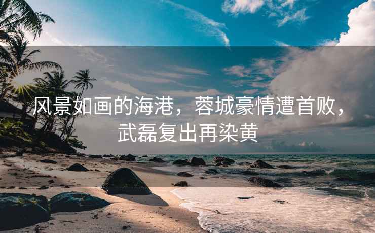 風(fēng)景如畫的海港，蓉城豪情遭首敗，武磊復(fù)出再染黃