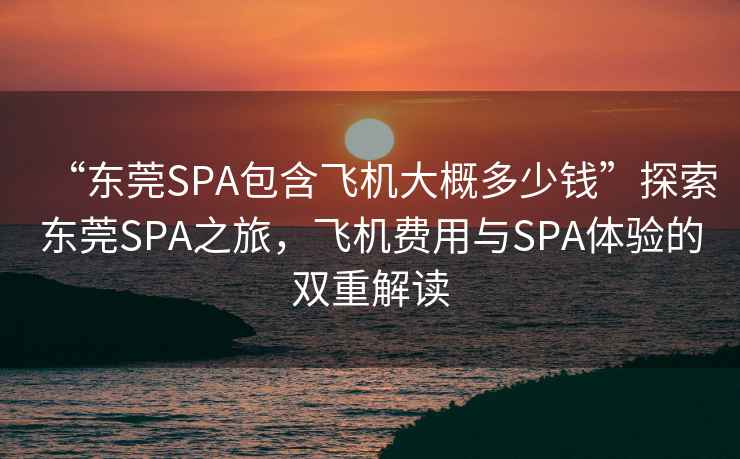 “東莞SPA包含飛機(jī)大概多少錢”探索東莞SPA之旅，飛機(jī)費(fèi)用與SPA體驗的雙重解讀