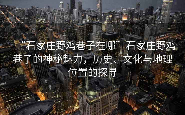 “石家莊野雞巷子在哪”石家莊野雞巷子的神秘魅力，歷史、文化與地理位置的探尋