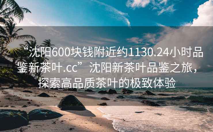 “沈陽600塊錢附近約1130.24小時品鑒新茶葉.cc”沈陽新茶葉品鑒之旅，探索高品質(zhì)茶葉的極致體驗