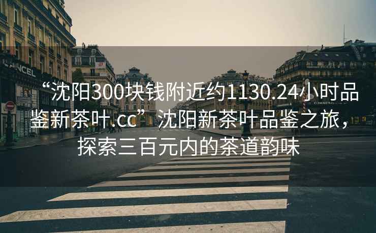 “沈陽(yáng)300塊錢(qián)附近約1130.24小時(shí)品鑒新茶葉.cc”沈陽(yáng)新茶葉品鑒之旅，探索三百元內(nèi)的茶道韻味