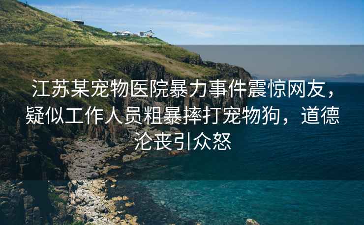 江蘇某寵物醫(yī)院暴力事件震驚網(wǎng)友，疑似工作人員粗暴摔打?qū)櫸锕?，道德淪喪引眾怒