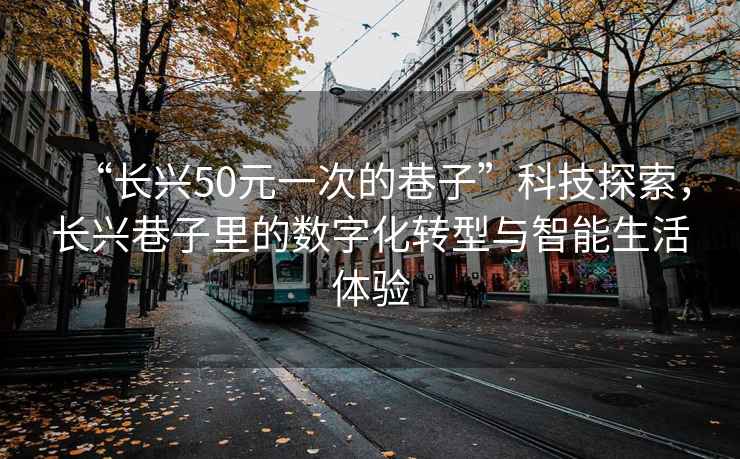 “長興50元一次的巷子”科技探索，長興巷子里的數(shù)字化轉型與智能生活體驗