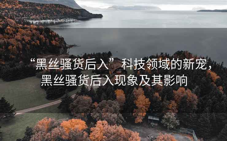 “黑絲騷貨后入”科技領域的新寵，黑絲騷貨后入現(xiàn)象及其影響