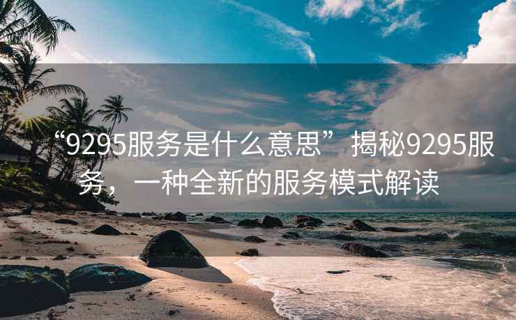 “9295服務是什么意思”揭秘9295服務，一種全新的服務模式解讀