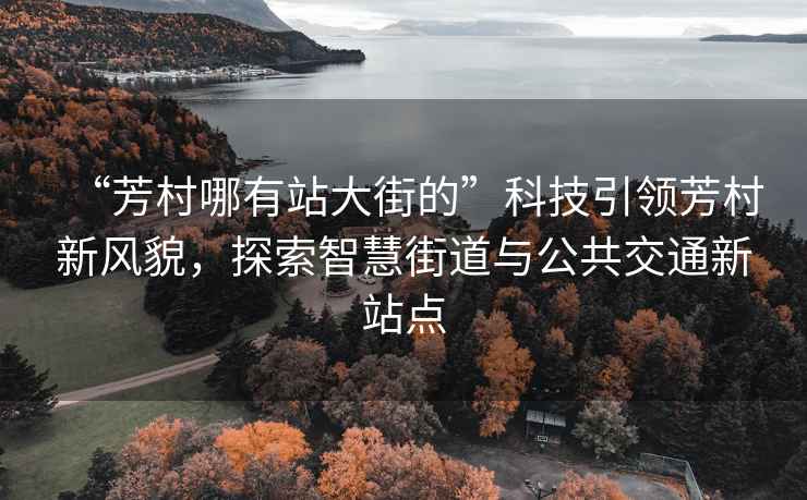 “芳村哪有站大街的”科技引領(lǐng)芳村新風(fēng)貌，探索智慧街道與公共交通新站點(diǎn)