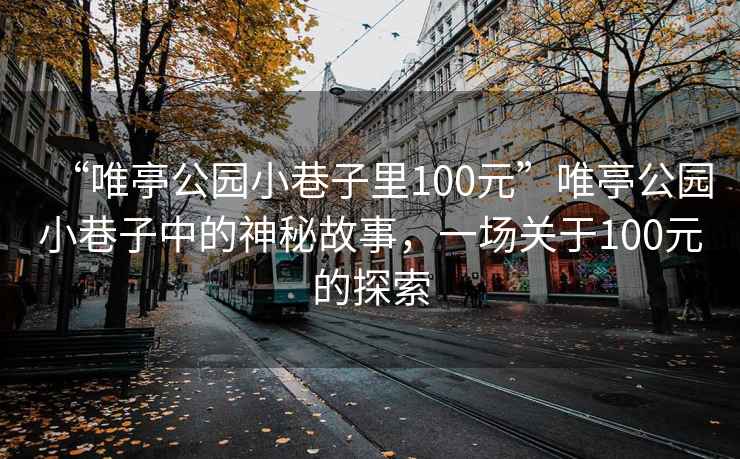 “唯亭公園小巷子里100元”唯亭公園小巷子中的神秘故事，一場關(guān)于100元的探索