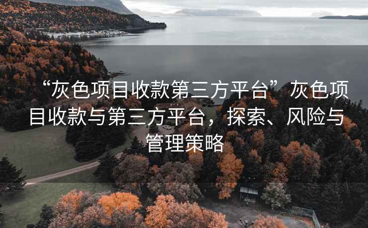 “灰色項(xiàng)目收款第三方平臺(tái)”灰色項(xiàng)目收款與第三方平臺(tái)，探索、風(fēng)險(xiǎn)與管理策略