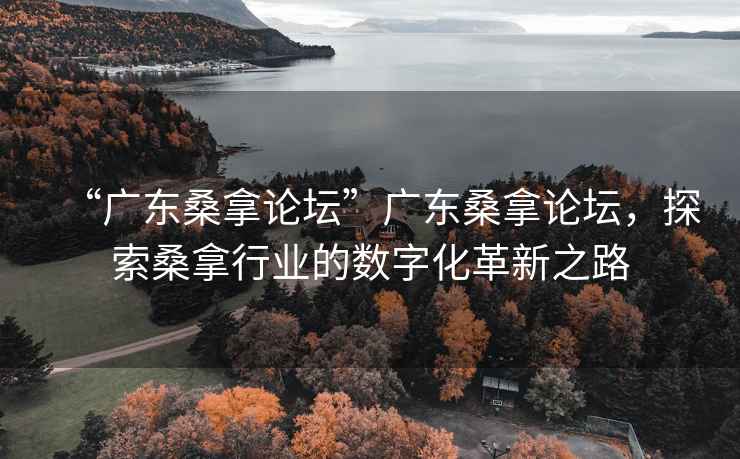 “廣東桑拿論壇”廣東桑拿論壇，探索桑拿行業(yè)的數(shù)字化革新之路