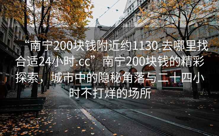“南寧200塊錢附近約1130.去哪里找合適24小時.cc”南寧200塊錢的精彩探索，城市中的隱秘角落與二十四小時不打烊的場所