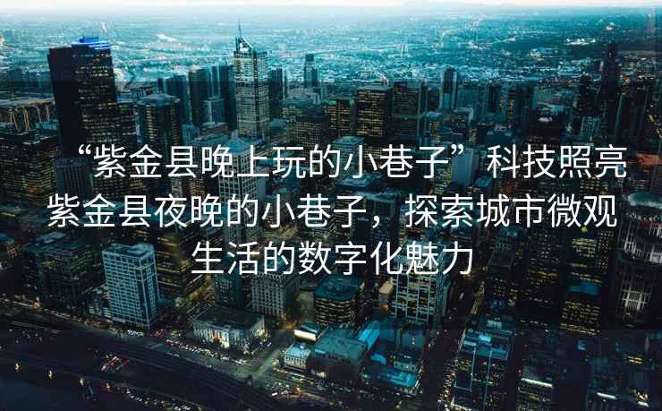“紫金縣晚上玩的小巷子”科技照亮紫金縣夜晚的小巷子，探索城市微觀生活的數(shù)字化魅力