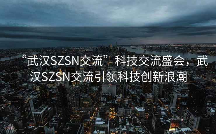 “武漢SZSN交流”科技交流盛會，武漢SZSN交流引領(lǐng)科技創(chuàng)新浪潮