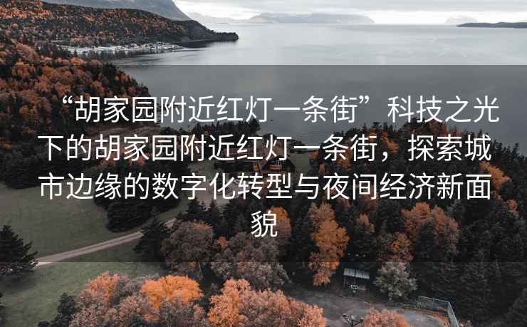 “胡家園附近紅燈一條街”科技之光下的胡家園附近紅燈一條街，探索城市邊緣的數(shù)字化轉(zhuǎn)型與夜間經(jīng)濟(jì)新面貌
