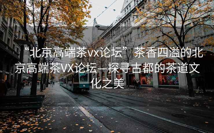 “北京高端茶vx論壇”茶香四溢的北京高端茶VX論壇—探尋古都的茶道文化之美