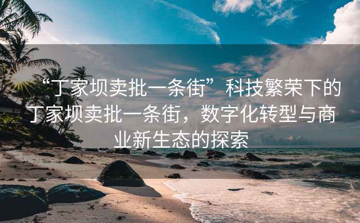 “丁家壩賣批一條街”科技繁榮下的丁家壩賣批一條街，數(shù)字化轉型與商業(yè)新生態(tài)的探索