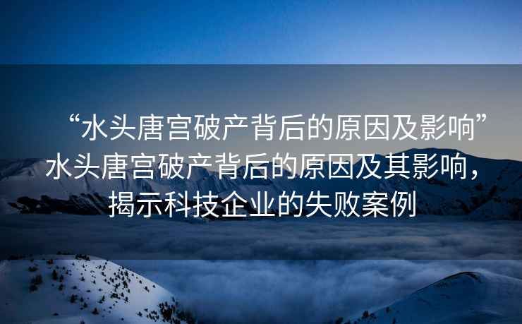 “水頭唐宮破產(chǎn)背后的原因及影響”水頭唐宮破產(chǎn)背后的原因及其影響，揭示科技企業(yè)的失敗案例