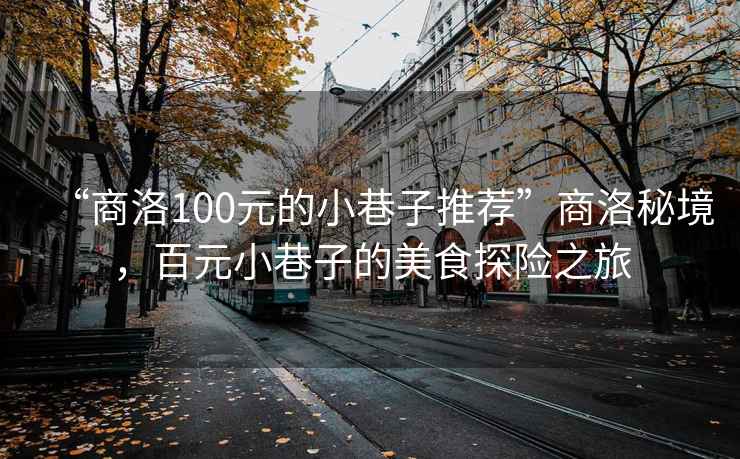 “商洛100元的小巷子推薦”商洛秘境，百元小巷子的美食探險(xiǎn)之旅