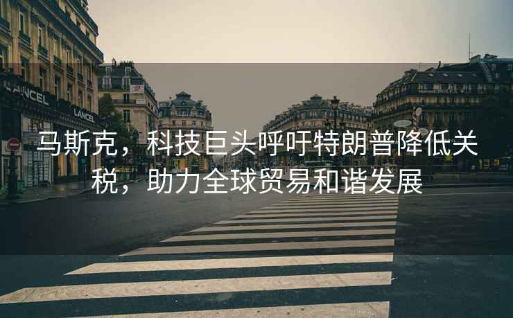 馬斯克，科技巨頭呼吁特朗普降低關(guān)稅，助力全球貿(mào)易和諧發(fā)展