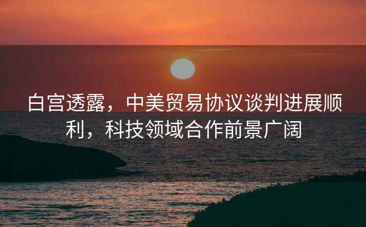 白宮透露，中美貿(mào)易協(xié)議談判進展順利，科技領(lǐng)域合作前景廣闊