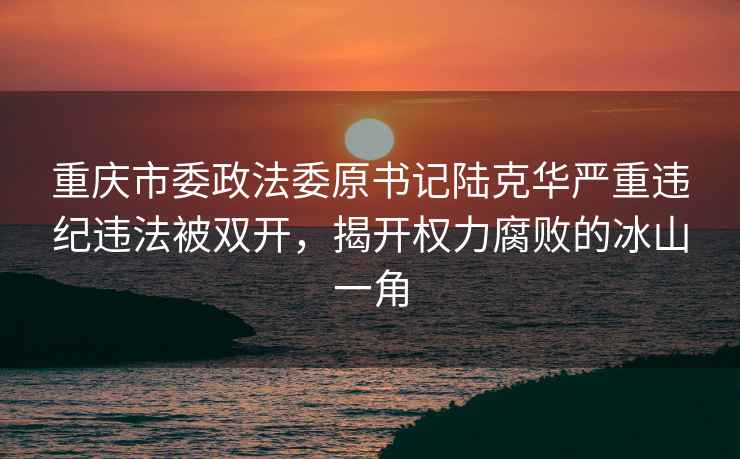 重慶市委政法委原書記陸克華嚴(yán)重違紀(jì)違法被雙開，揭開權(quán)力腐敗的冰山一角