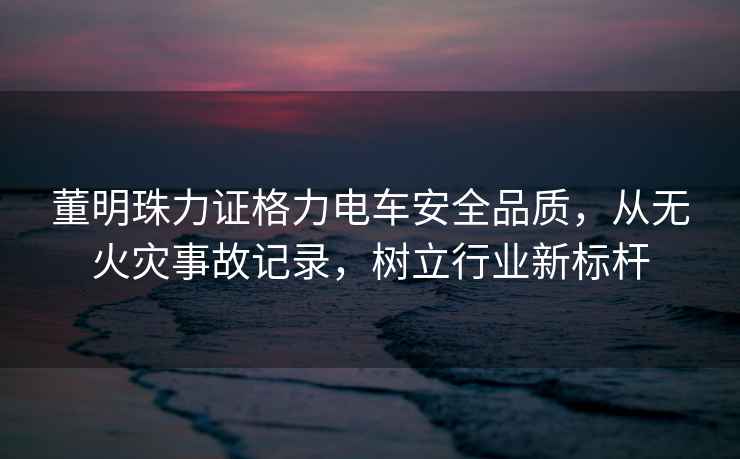 董明珠力證格力電車安全品質(zhì)，從無火災(zāi)事故記錄，樹立行業(yè)新標(biāo)桿