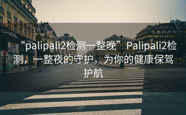 “palipali2檢測一整晚”Palipali2檢測，一整夜的守護，為你的健康保駕護航