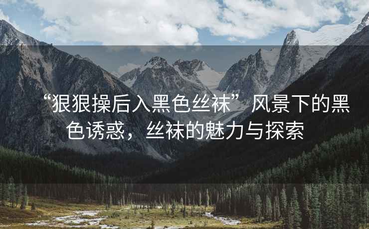 “狠狠操后入黑色絲襪”風(fēng)景下的黑色誘惑，絲襪的魅力與探索