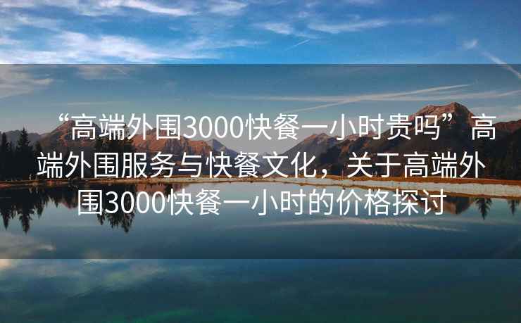 “高端外圍3000快餐一小時貴嗎”高端外圍服務(wù)與快餐文化，關(guān)于高端外圍3000快餐一小時的價格探討