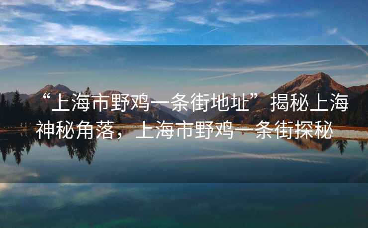 “上海市野雞一條街地址”揭秘上海神秘角落，上海市野雞一條街探秘