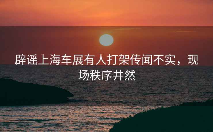 辟謠上海車展有人打架傳聞不實，現(xiàn)場秩序井然