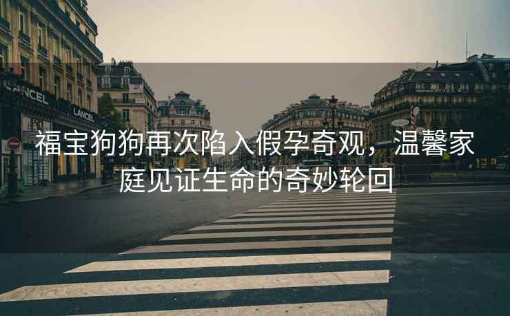 福寶狗狗再次陷入假孕奇觀，溫馨家庭見證生命的奇妙輪回