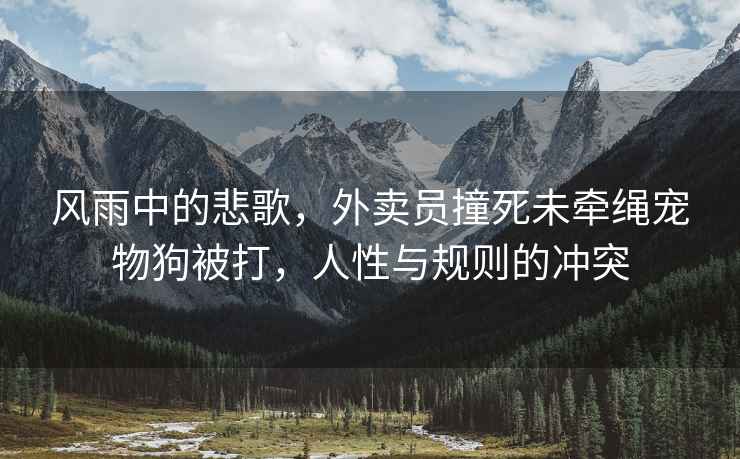 風雨中的悲歌，外賣員撞死未牽繩寵物狗被打，人性與規(guī)則的沖突