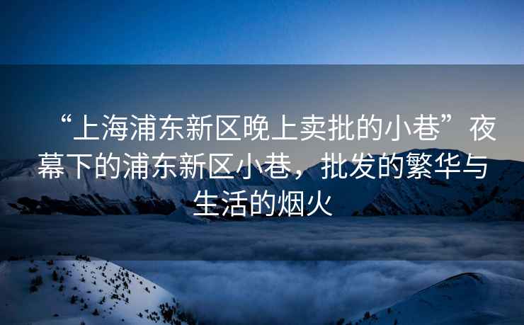“上海浦東新區(qū)晚上賣批的小巷”夜幕下的浦東新區(qū)小巷，批發(fā)的繁華與生活的煙火