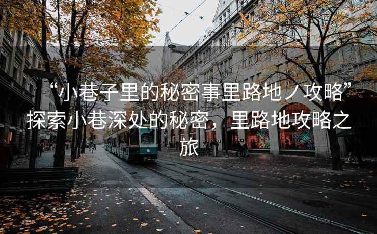 “小巷子里的秘密事里路地ノ攻略”探索小巷深處的秘密，里路地攻略之旅