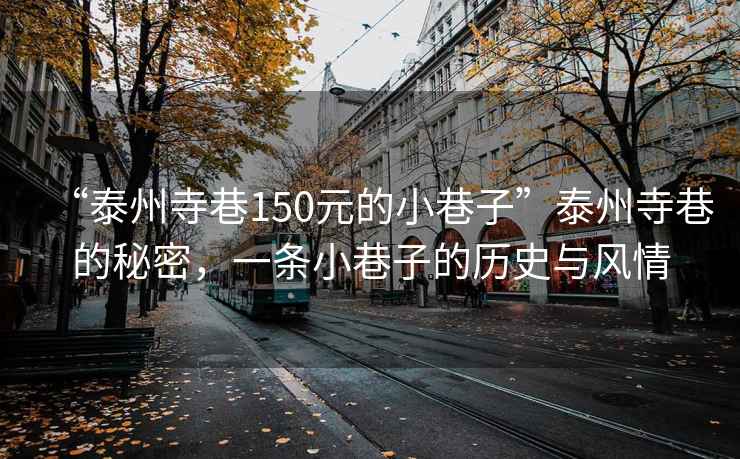 “泰州寺巷150元的小巷子”泰州寺巷的秘密，一條小巷子的歷史與風(fēng)情