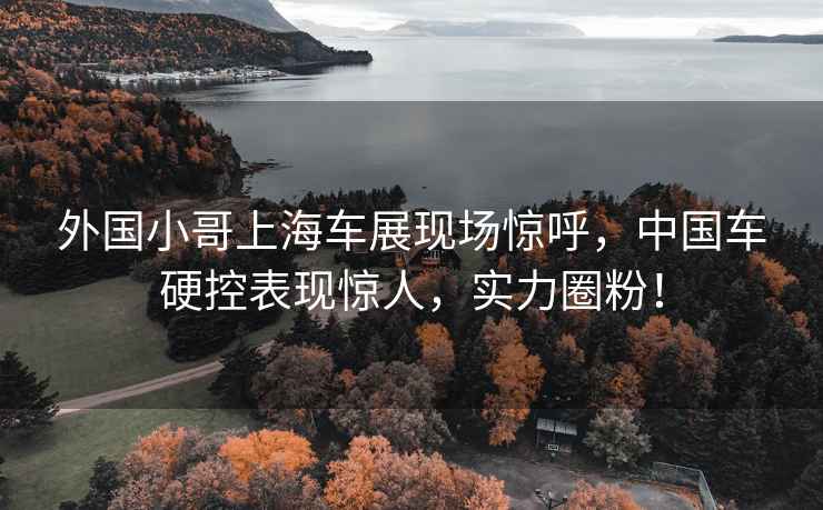 外國小哥上海車展現(xiàn)場驚呼，中國車硬控表現(xiàn)驚人，實力圈粉！